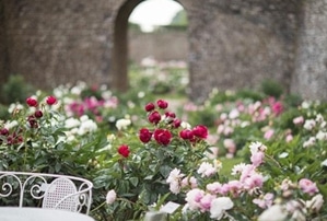 Capture d’écran 24 4 2026 225023